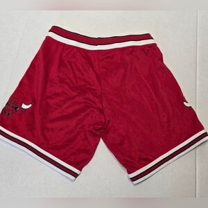 Vintage 90's Chicago Bulls NBA Champion Shorts Youth Boys Size 14-16